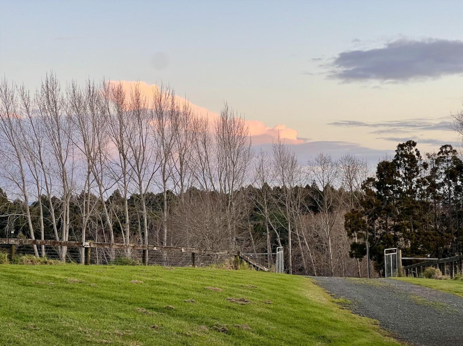 Ranfurly Farm stay