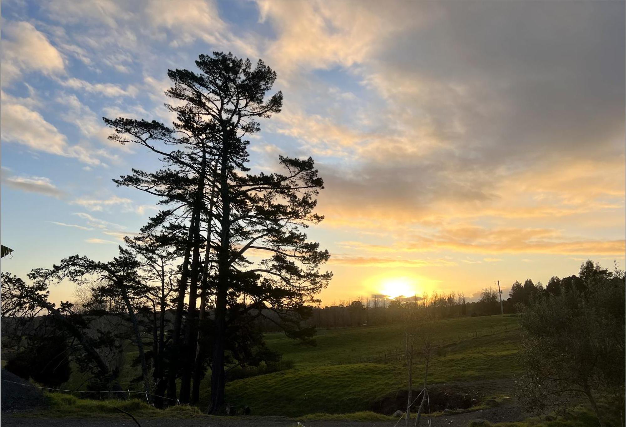 Ranfurly Farm stay *